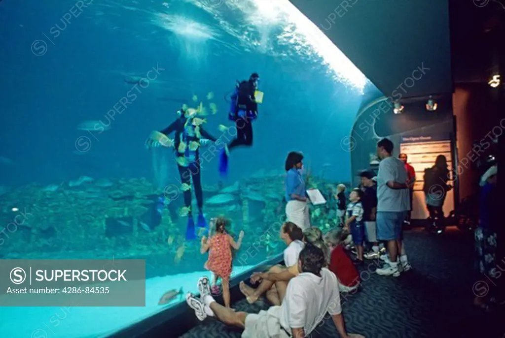 people at marine tank North Carolina Aquarium, Manteo