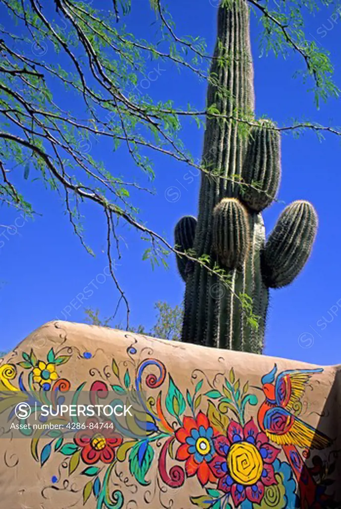 Colorful painted adobe wall and saquaro cactus Scottsdale near Phoenix Arizona