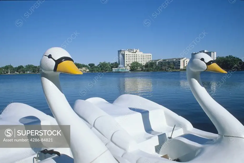 rental swan boats Lake Eola Orlando Florida