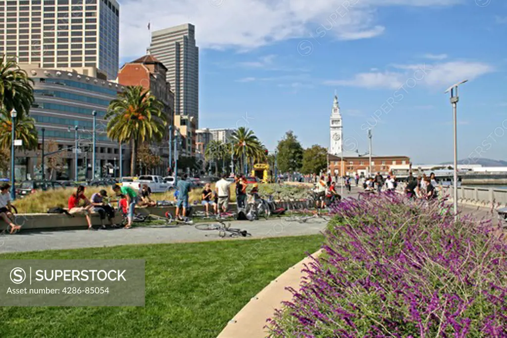 People bike riding and visiting along Embarcadero waterfront San Francisco California