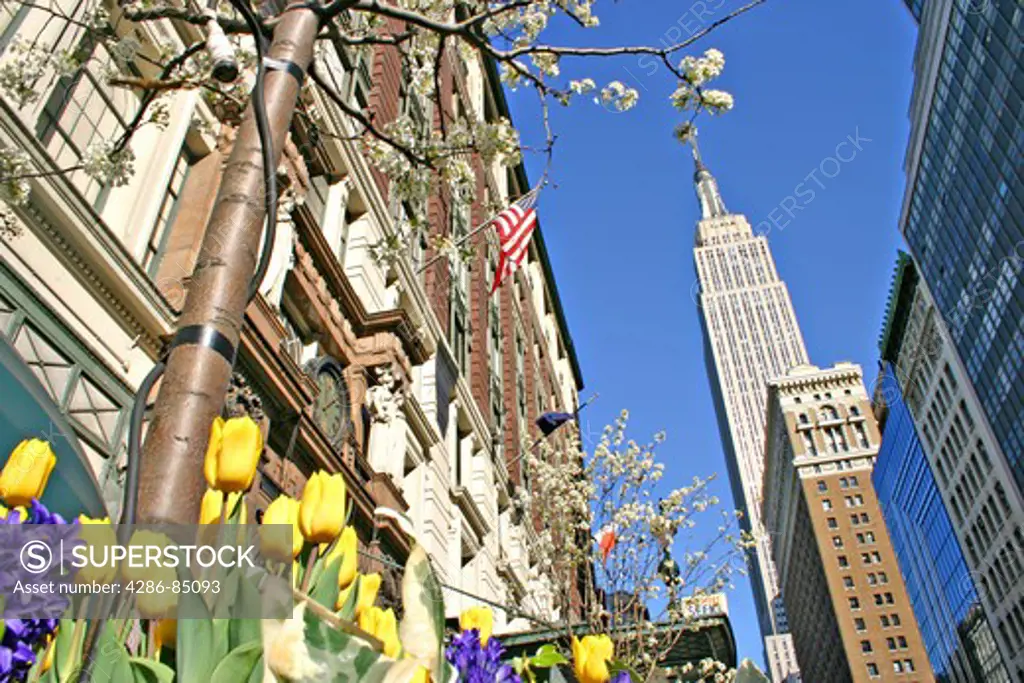 Empire State Building and Macys storefront in spring New York City