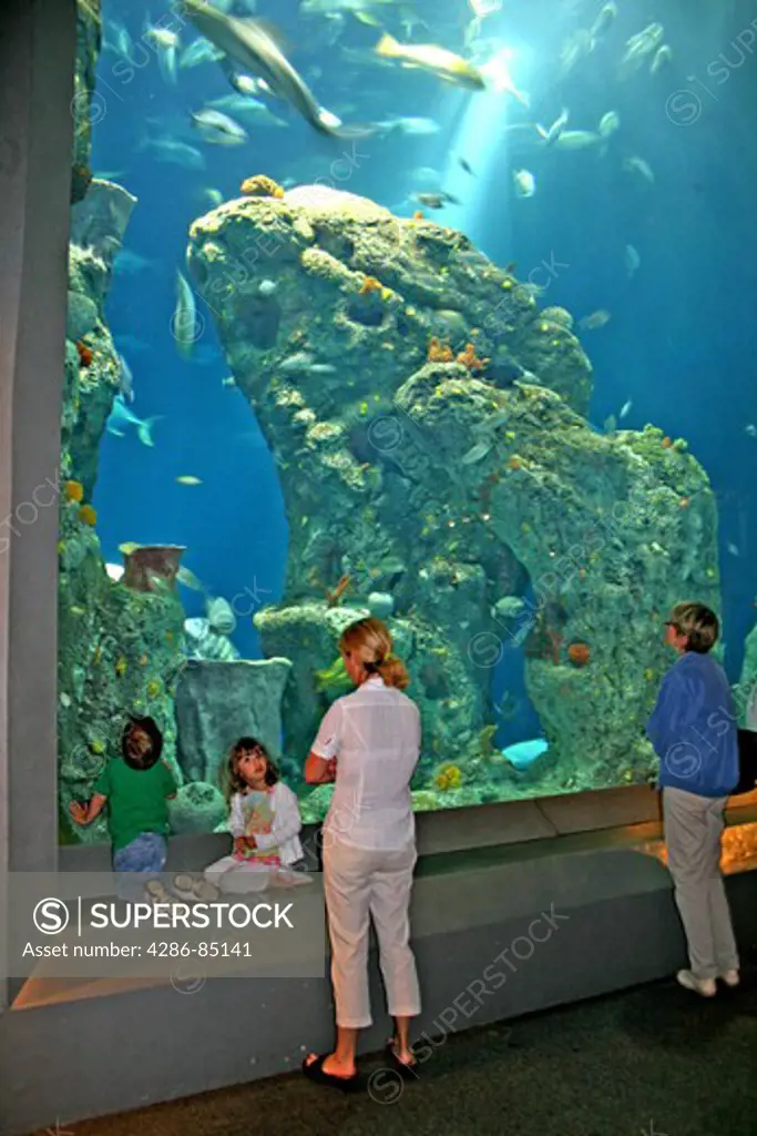 People touring South Carolina Aquarium in Charleston South Carolina