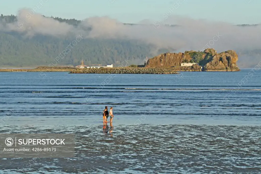 People walking at low tide Crescent City California