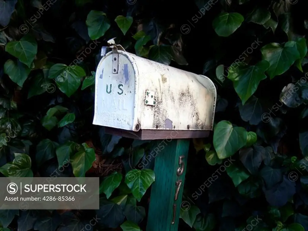 White mail box surrounded by greenery