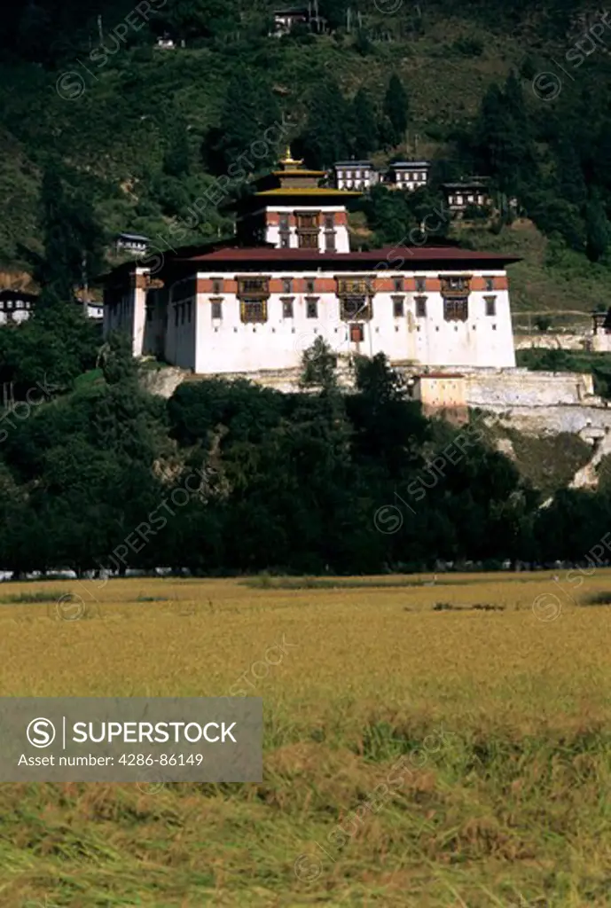 Rinpung Dzong and the fields, Paro, Bhutan