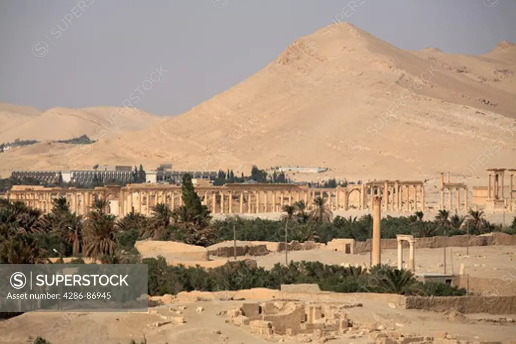 View of the ruins of Palmyra, Syria