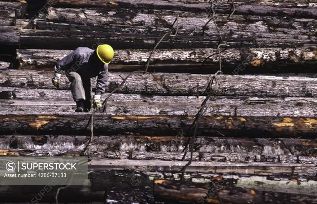 worker log boom forest trees industry BC