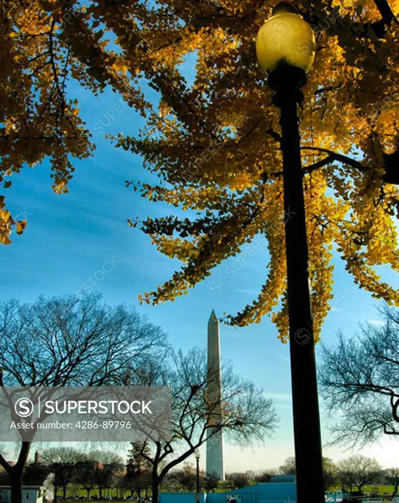Street light and the Washington Monument, Washington, DC
