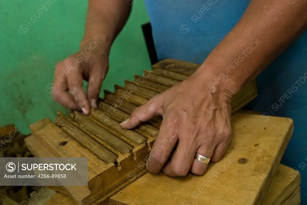 A worker in a cuban-style cigar factory in Little Havana of Miami, Florida