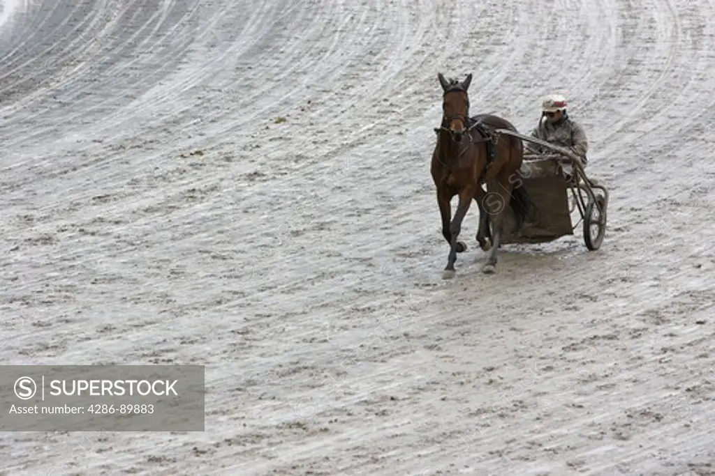 Harness racing jockeys training their horses in cold rainy conditions in Monticello, New York.