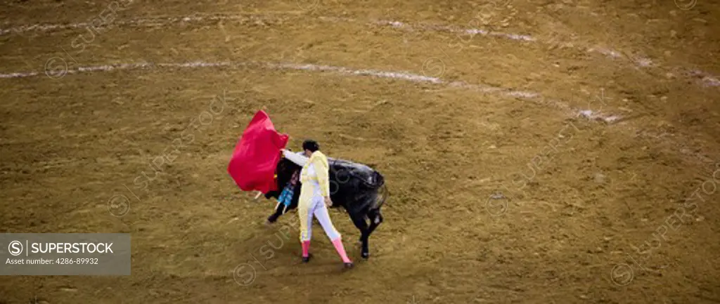 A bull charges the cape of a bullfighter at the Plaza de Toros in Morelia, Mexico.