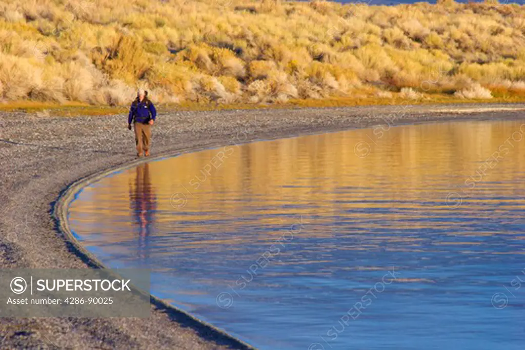 Young man hiking along shoreline of Mono Lake, CA at sunrise, reflected in the water