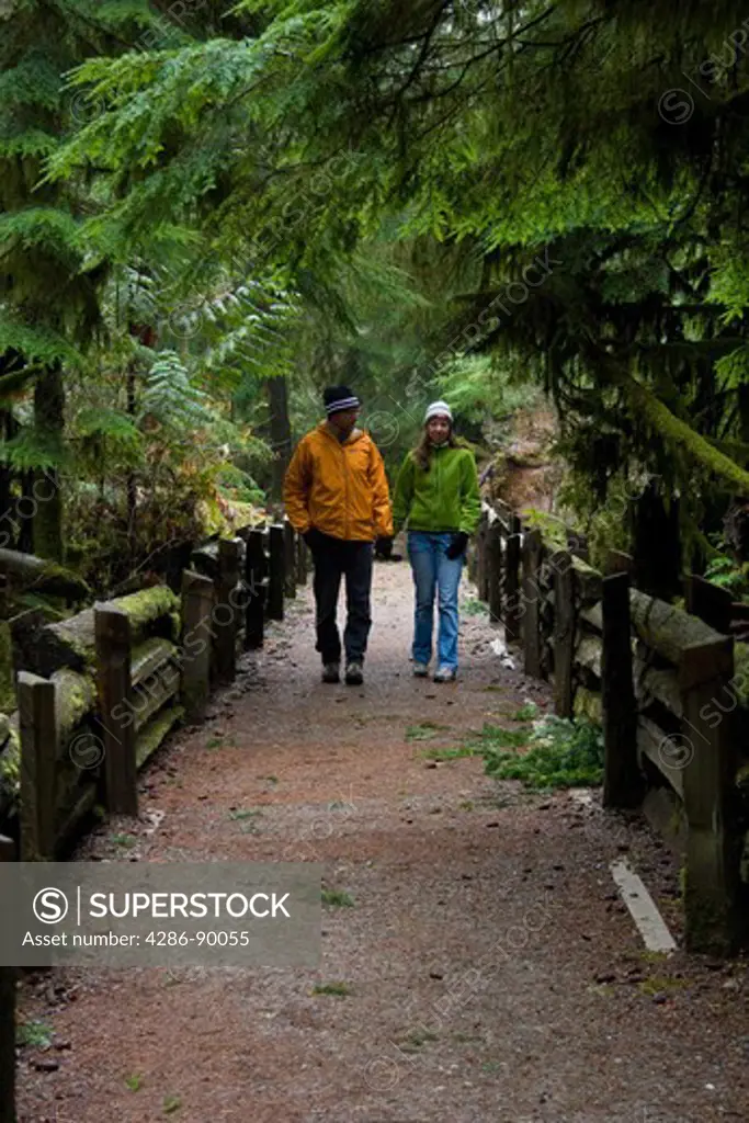 Man and Woman walking hand in hand down a path in an old growth forest, Cathedral Grove, BC, Canada