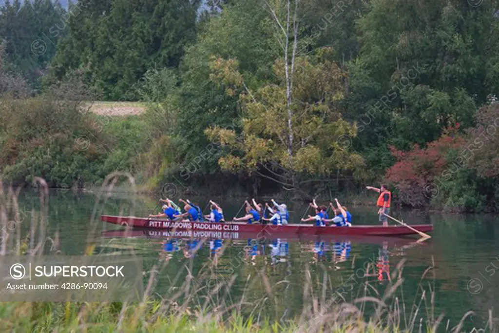 Dragon boat paddlers along the Alouette River, Pitt Meadows, BC, Canada