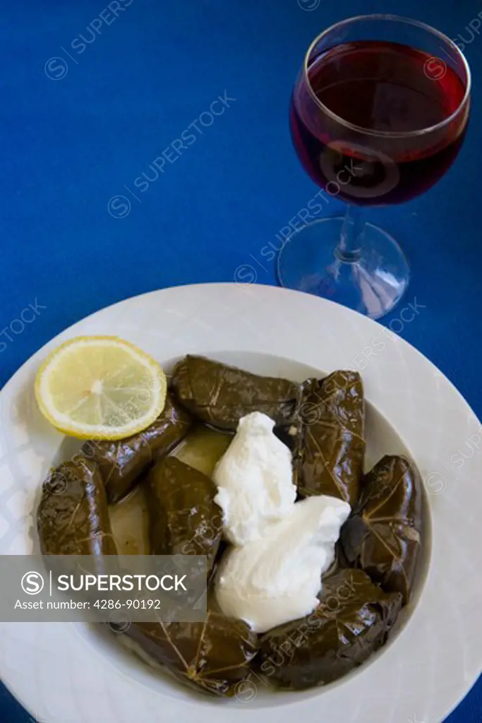 Greek Cuisine. Fresh Dolmades (VIne Leaves) with Yogurt