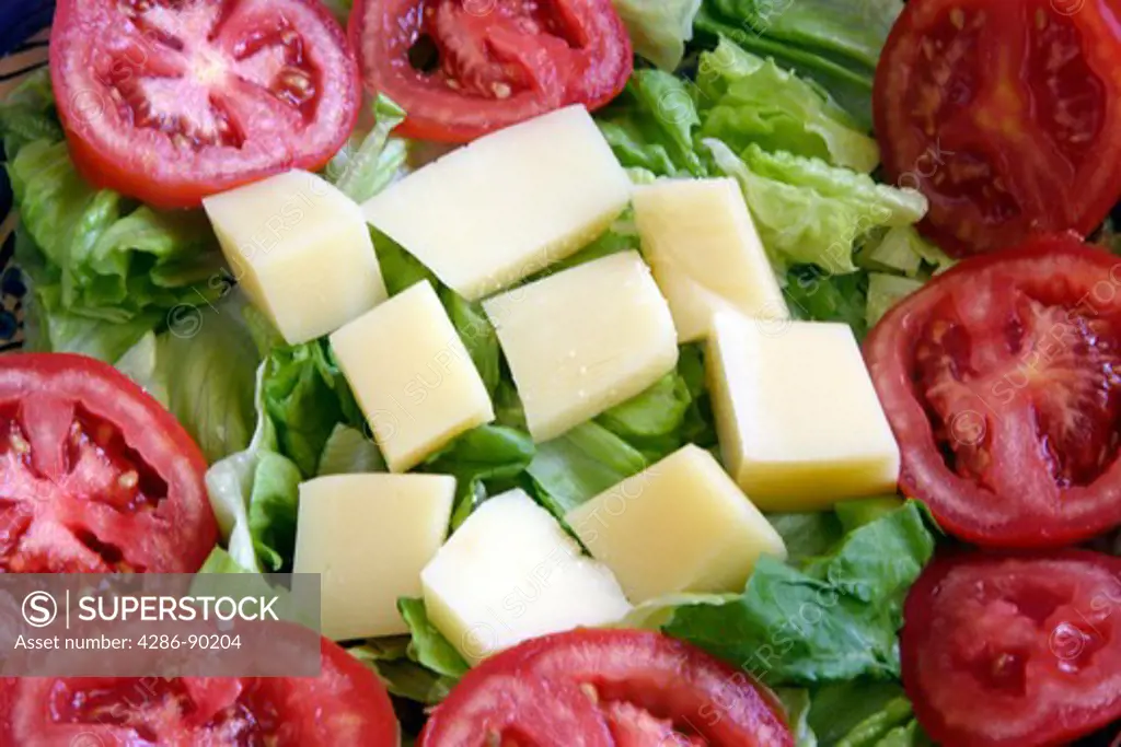Greek Food. Fresh Mediterranean Salad. Close Up Detail