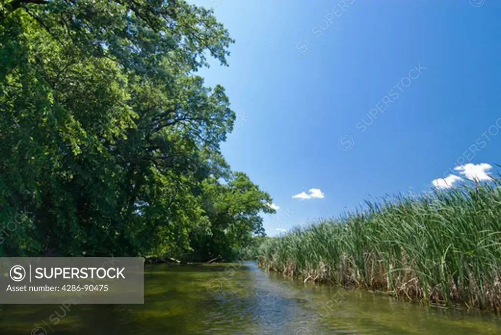 Otter Tail River flows peacefully between wetland and forest, Perham, Minnesota