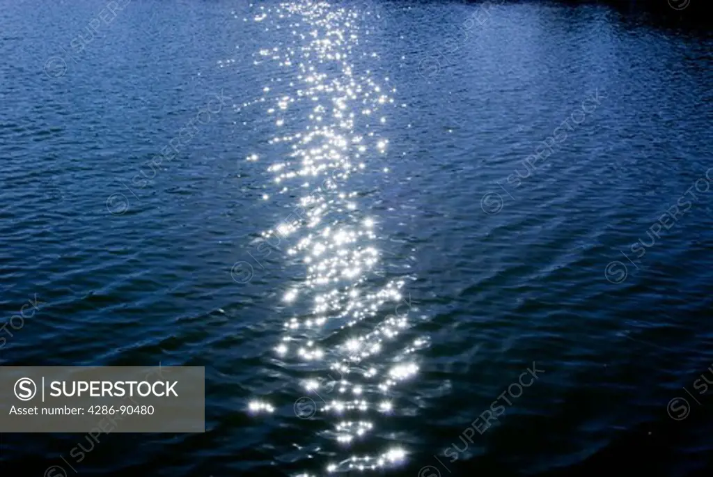 Light breeze ripples sun sparkled waters, Big Pine Lake, Ottertail County, Minnesota, USA