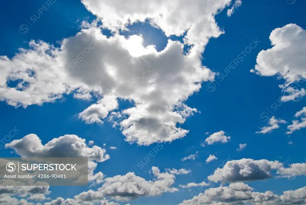 Cottony cumulus clouds in blue summer sky, Ottertail County, Minnesota, USA