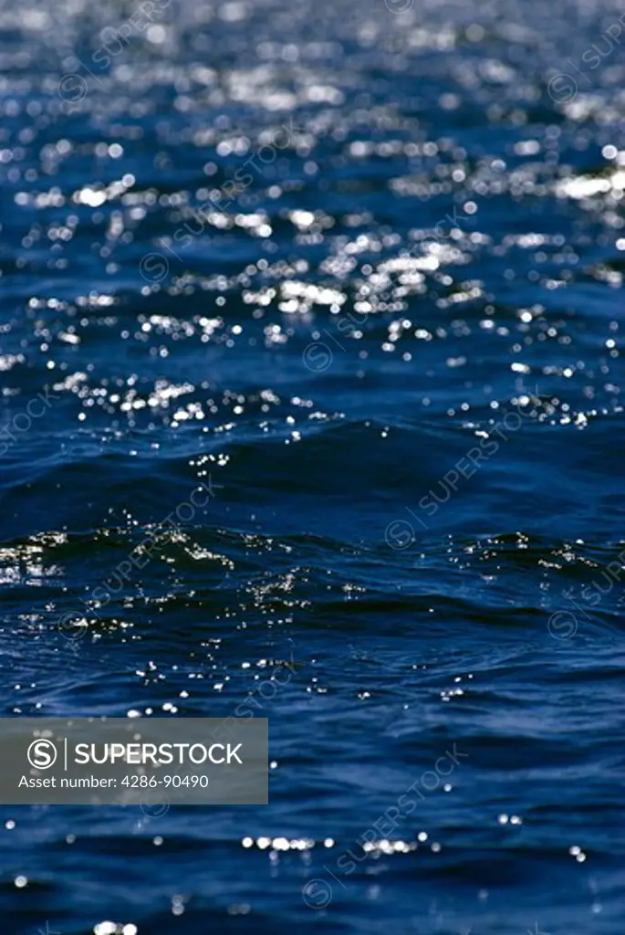 Waves ripple accross windswept blue lake, Big Pine Lake, Ottertail County, Minnesota, USA