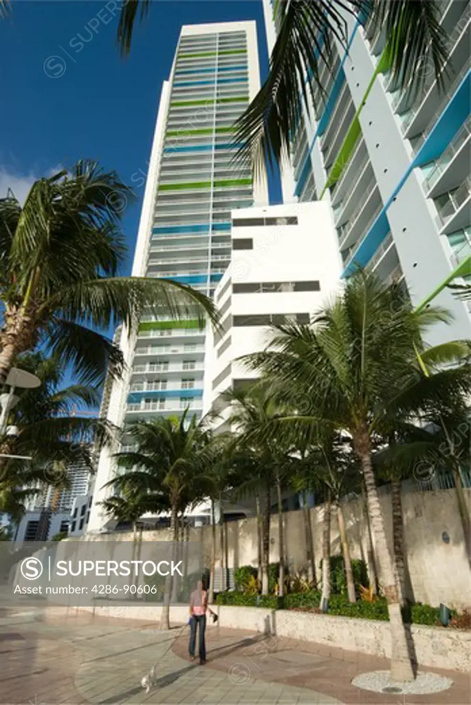 Condominium resident walks dog under palms and high rise buildings that line Miami River, Miami, Florida