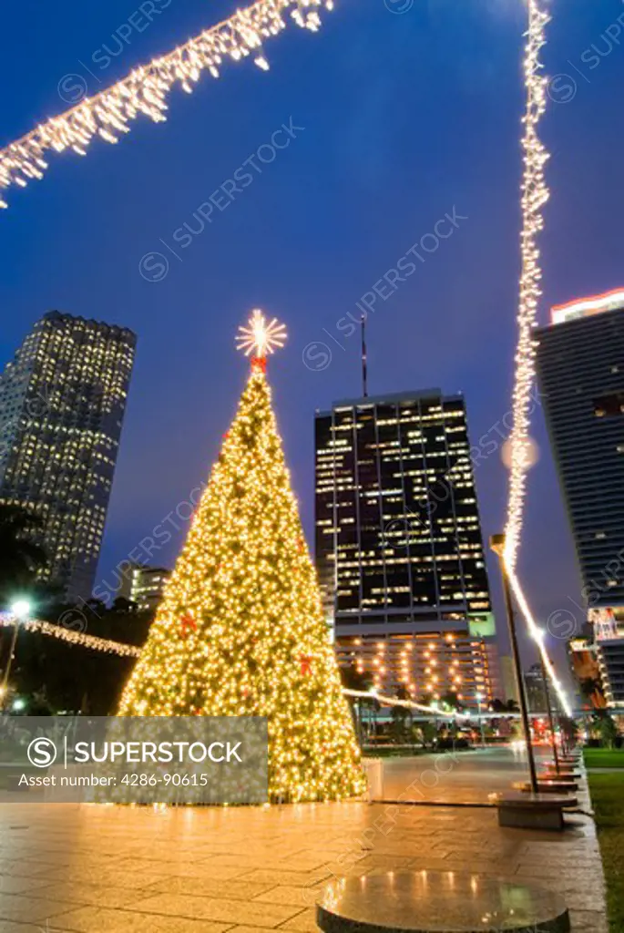 Christmas lights adorn tree and downtown at Bayfront Park, Miami, Florida