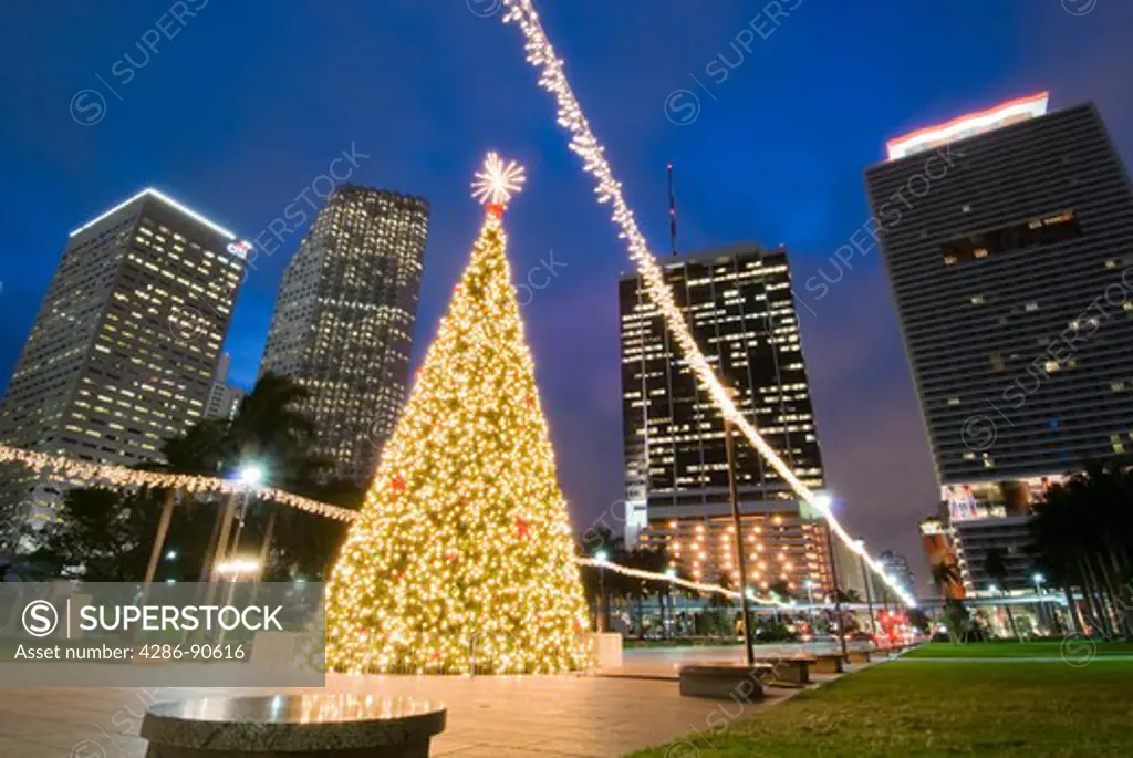 Christmas lights adorn tree and downtown at Bayfront Park, Miami, Florida