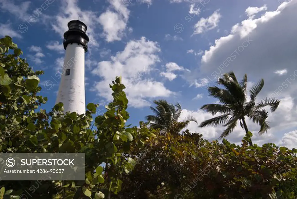 Historic lighthouse above tropical vegitation, Bill Baggs Cape Florida State Park, Key Biscayne, Florida