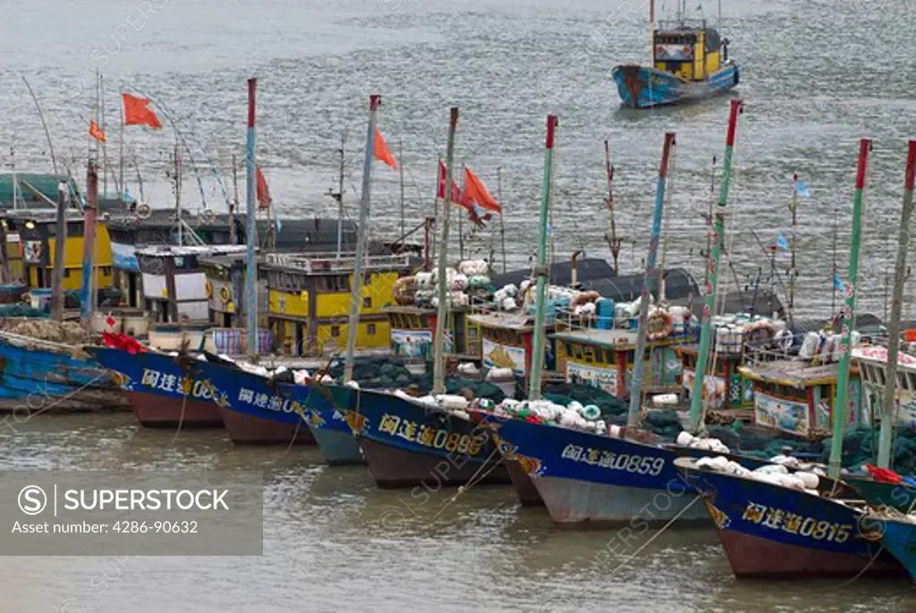 Wooden fishing vessels wait out storm in harbor, Zhujijian Village, Zhoushan Archipelago, Zhejiang Province, China