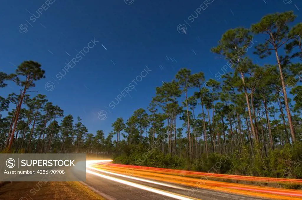 Time exposure under full moon captures passsing car and star trails above slash forest in Long Pine area, Everglades National Park, Florida