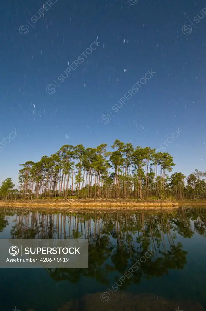 Time exposure under full moon captures star trails and lake reflections of slash forest in Long Pine area, Everglades National Park, Florida