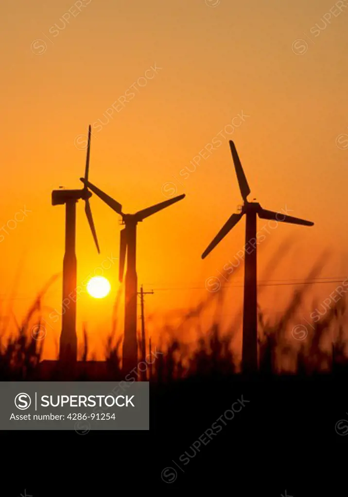 Electricity is gererated by wind mills in Texas