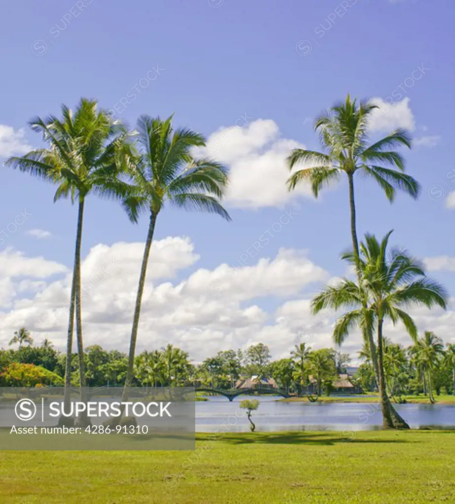 Scenic city park and lake in the North part of Hilo, The Big Island, Hawaii