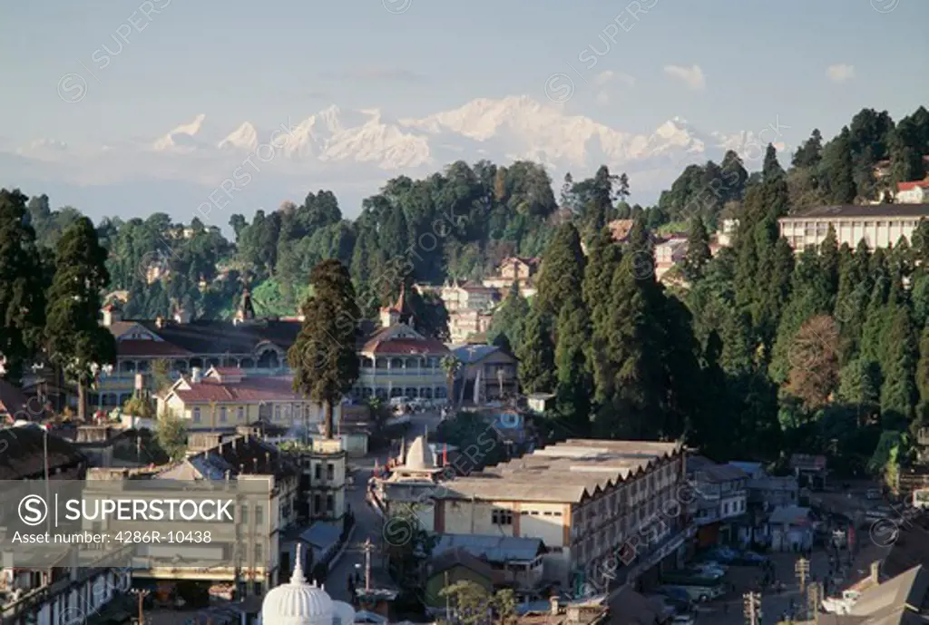 Darjeeling West Bengal India Asia   -
