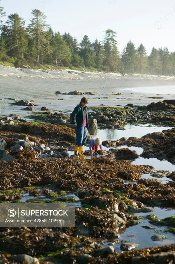 Exploring tide pool. Roller Bay. Hope Island. British Columbia, Canada.