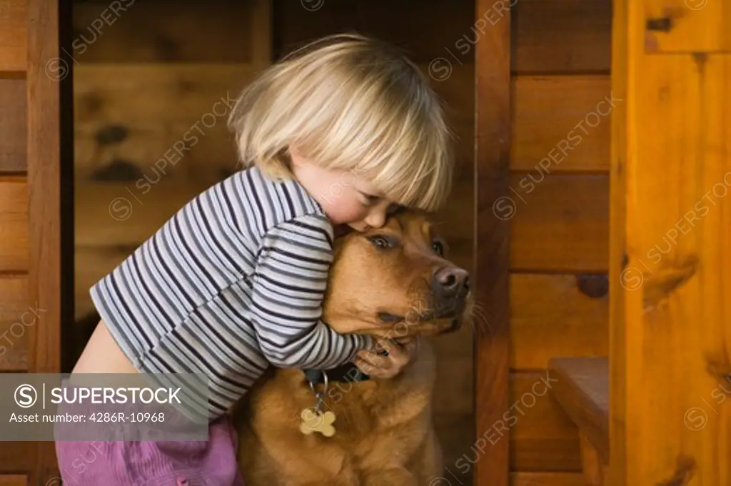 Caucasian girl 3 years old with labrador dog. .  MR-0501 PR-0504 PR-0505
