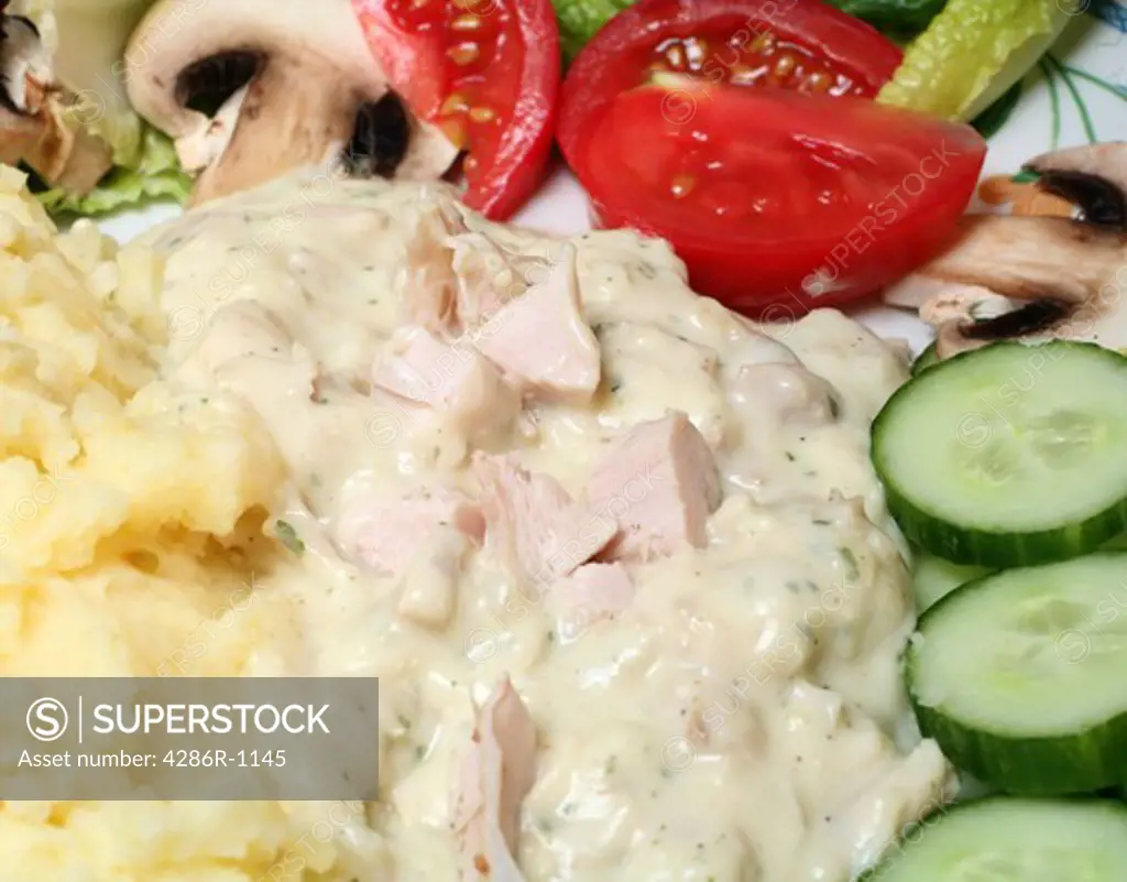 Chicken in a herbed cream sauce, served with mashed potatoes and a salad of mushrooms, lettuce, tomato and cucumber