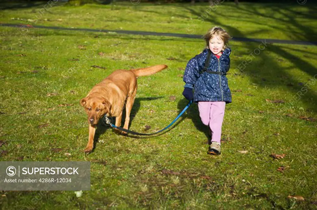 Young Girl Walking Her Labrador Dog, MR-0601 PR-0604