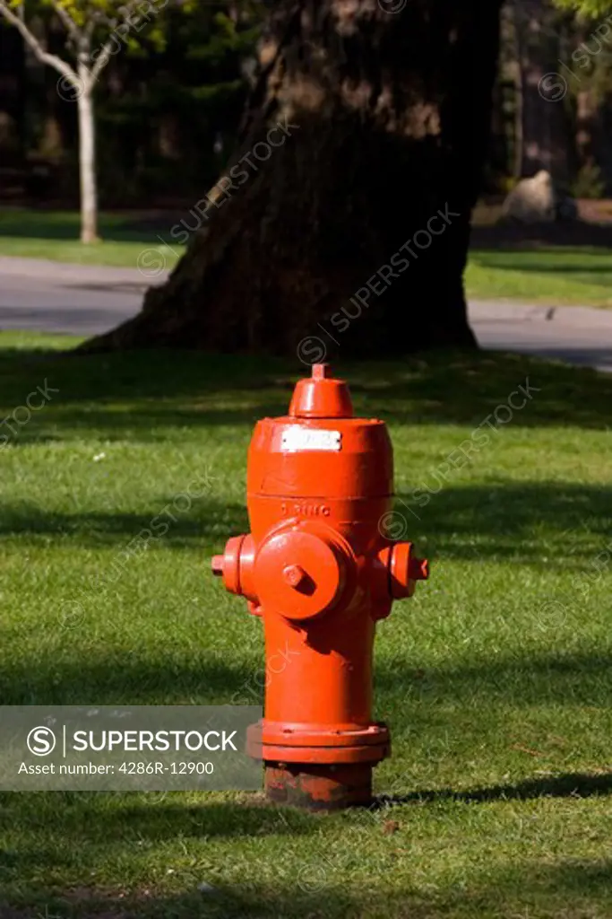 Bright red fire hydrant on green grass with large tree behind