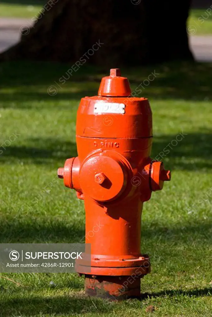 Bright red fire hydrant on green grass with large tree behind