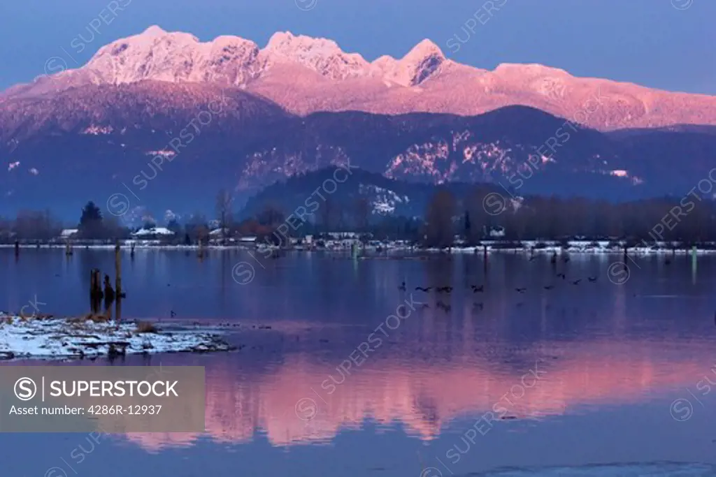 Sun setting on the Golden Ears reflected in the Pitt River with flock of geese, Port Coquitlam, British Columbia, Canada