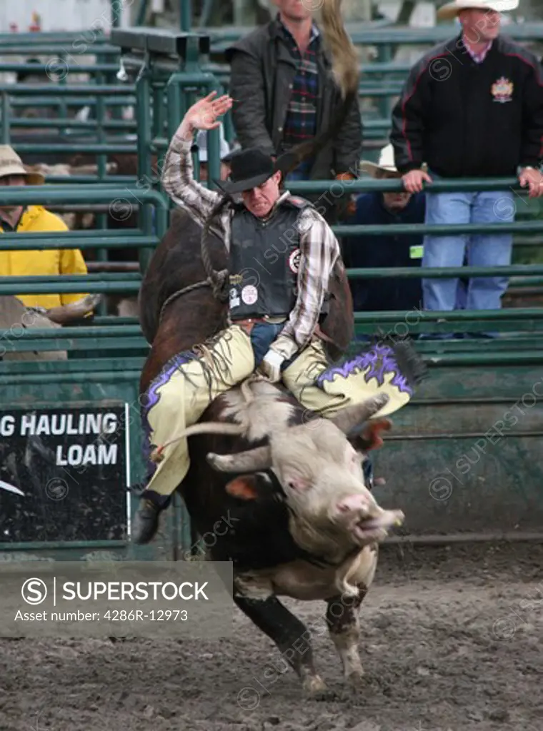 Classic Bull rider Pose at a Small Town Rodeo