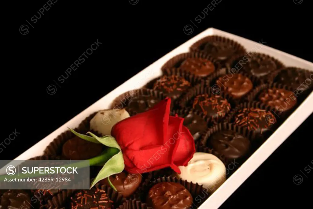 Single Red Rose on box of chocolates - Valentines Day