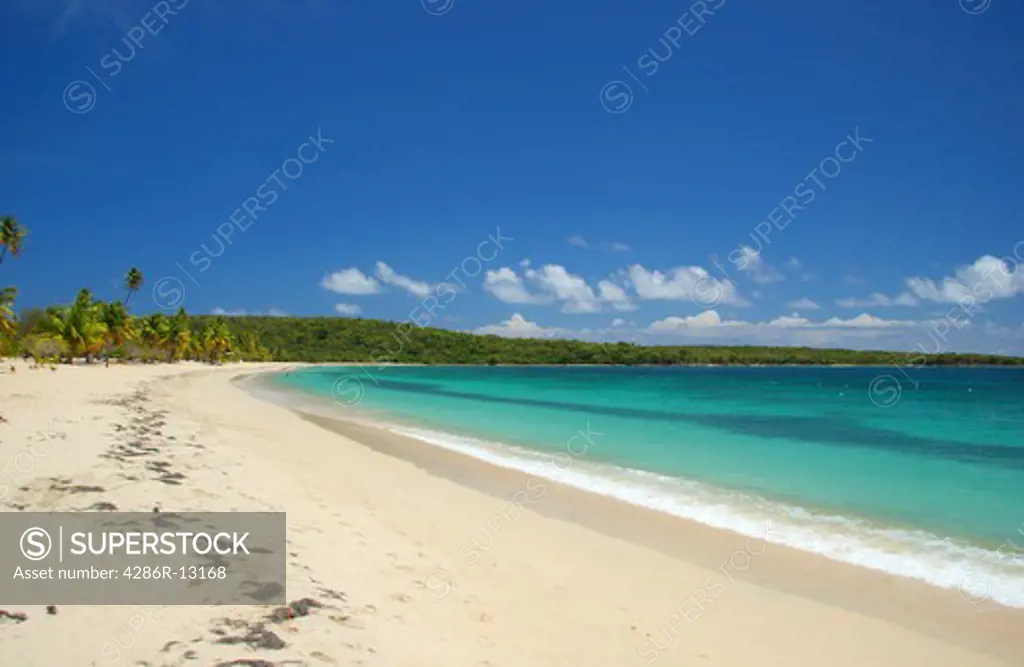 The perfect Caribbean beach, Sun Bay, Vieques Island, Puerto Rico
