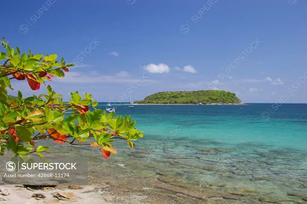 Colorful tropical beach at the town of Esperenza, Vieques Island, Puerto Rico