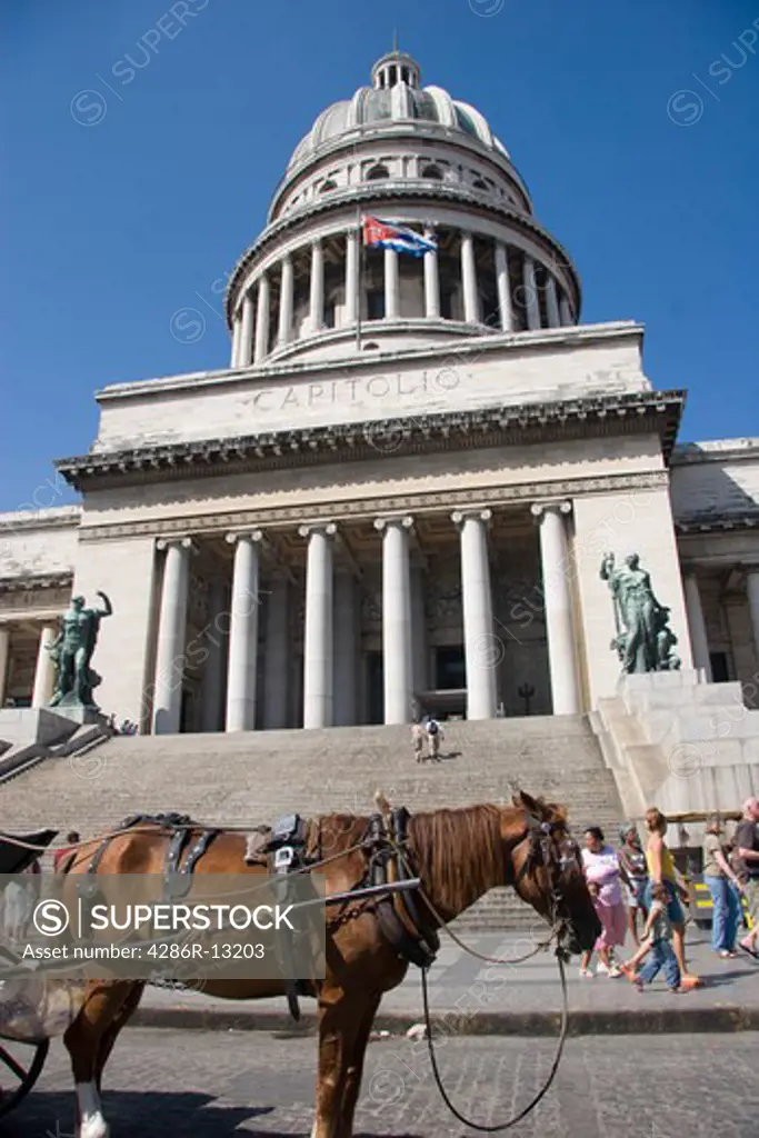 Closeup of the Capitolio Nacional in Old Havana with Horse pulling carriage in front