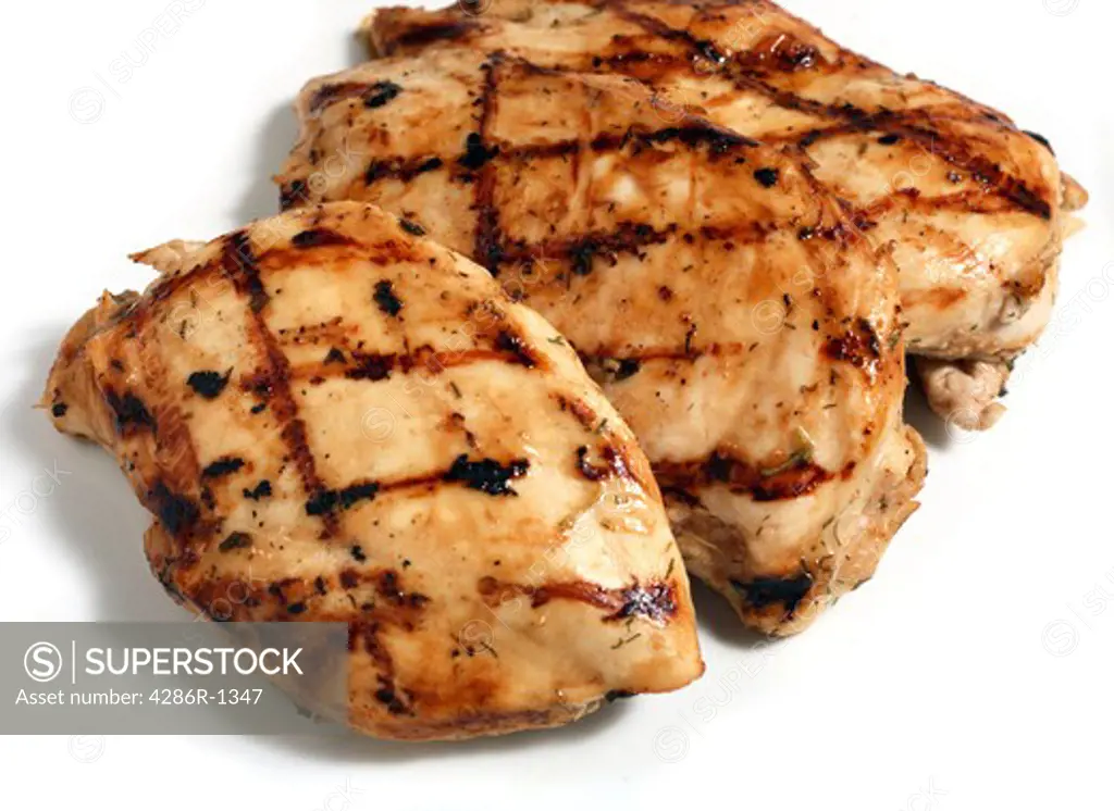 Grilled marinaded and herbed chicken breasts on a white plate.