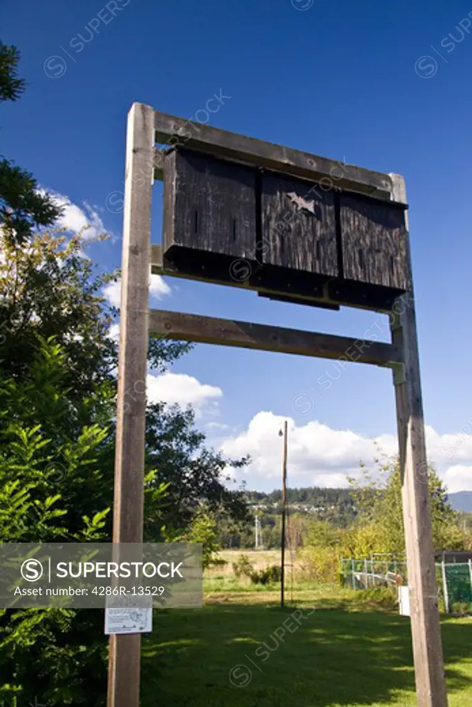 Boxes provide a home for bats, which are beneficial for reducing insects. Colony Farm Regional Park, Port Coquitlam, BC, Canada