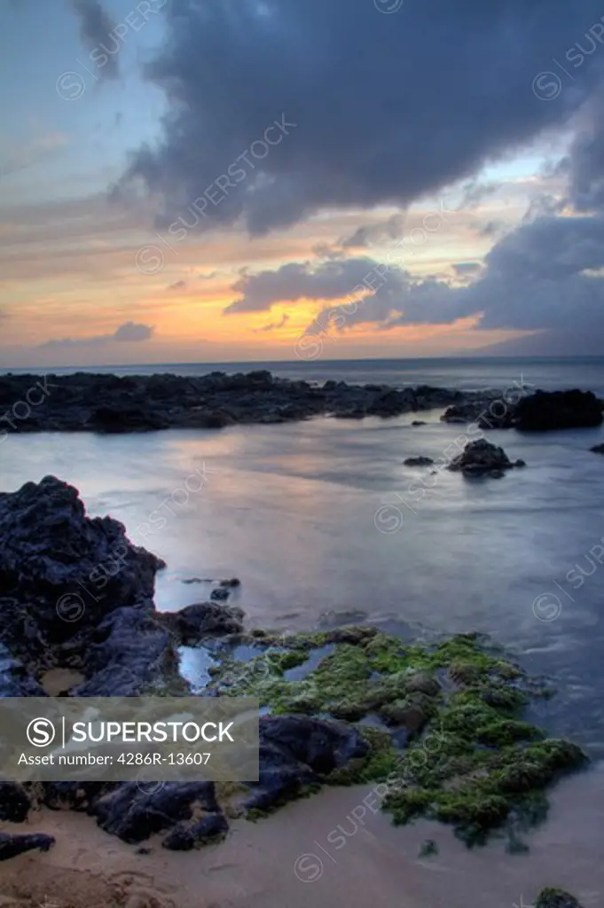 Seaweed covered rocks and tidepools at sunset, Maui, Hawaii