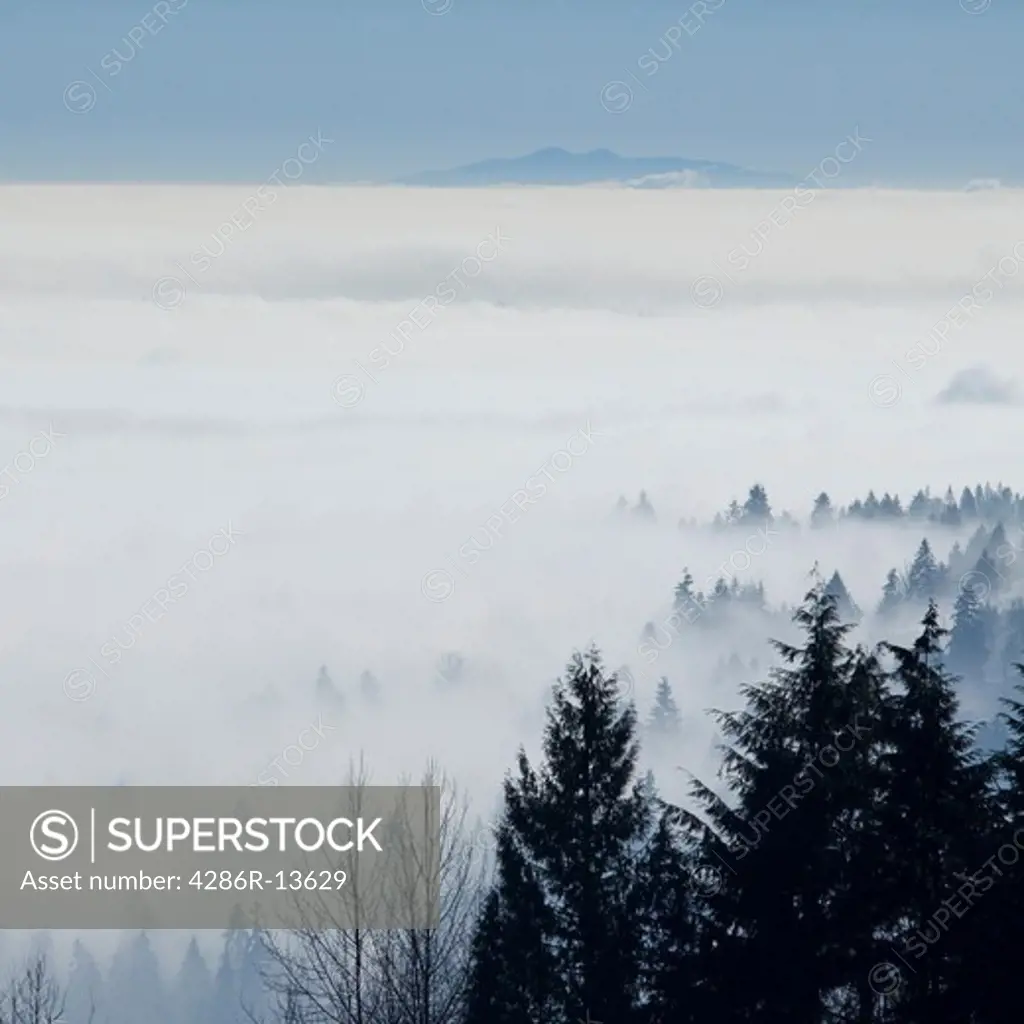 Up above Coquitlam and the Fraser Valley shrouded in fog from Westwood Plateau